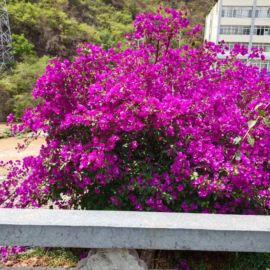 来在我身边