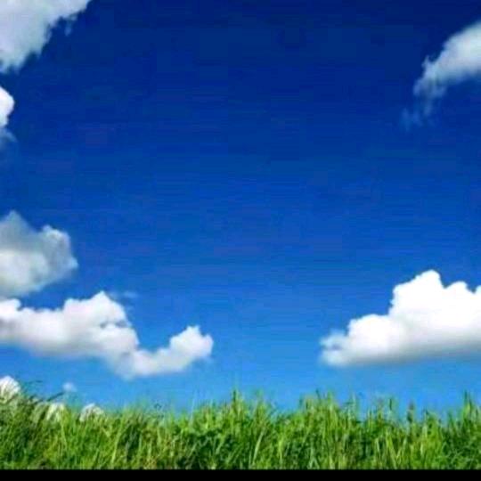 零下1℃的❤