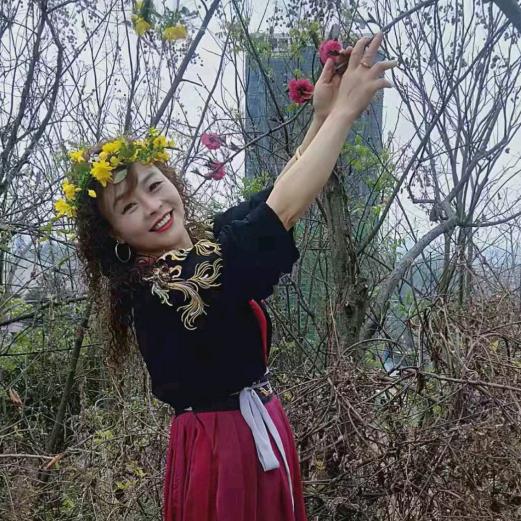 梧桐树上火凤凰