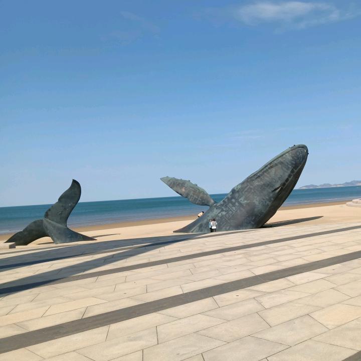 。。。。。。。。。。。