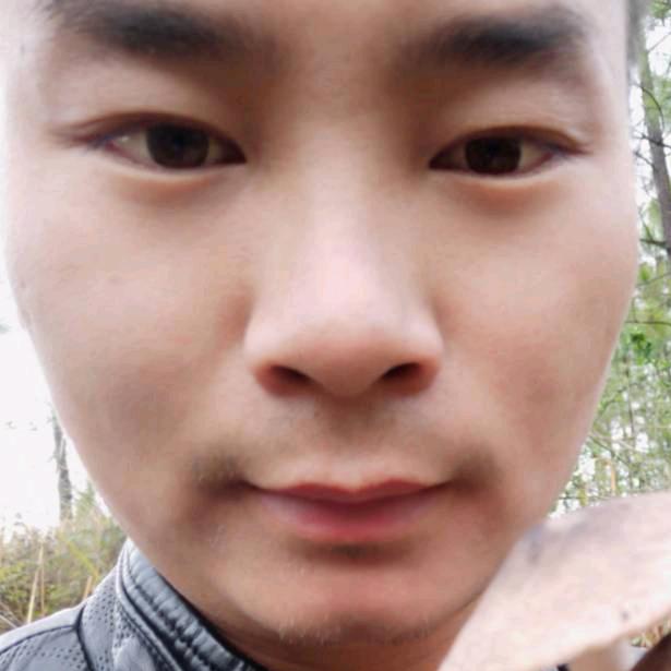 挖掘梦想的(英)强