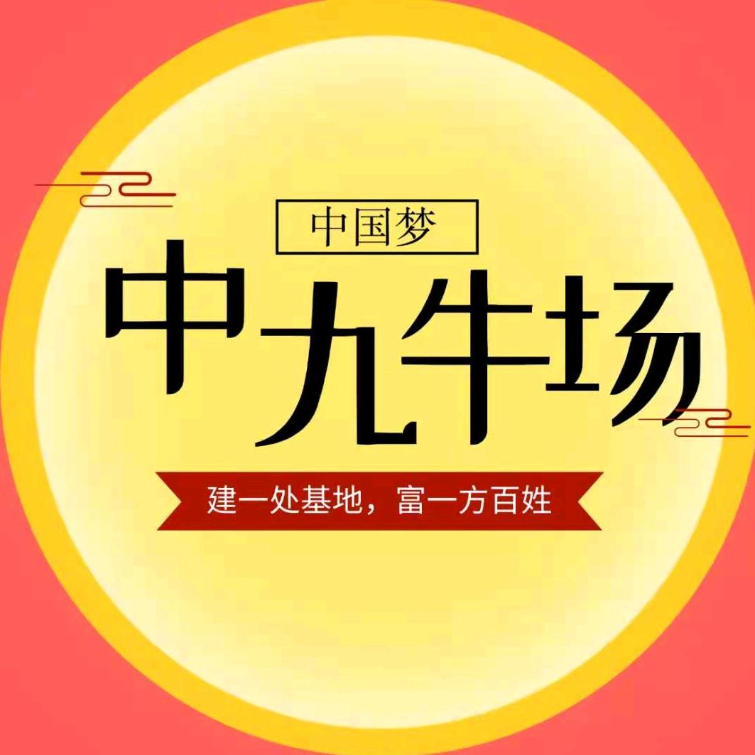 山东中九牧业