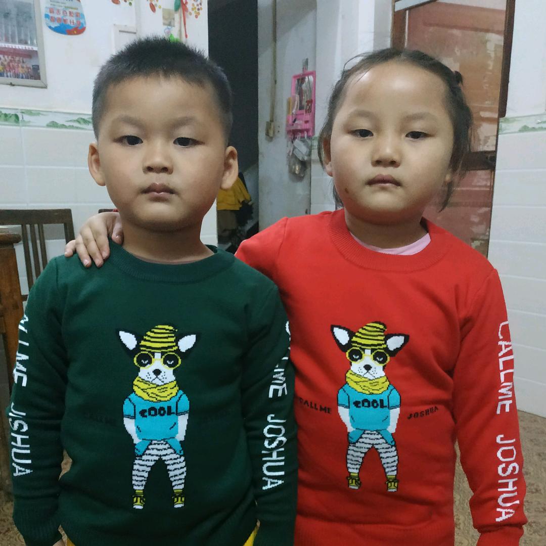 普通的鑫鑫