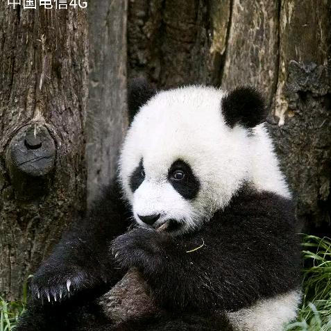 以后怎么走