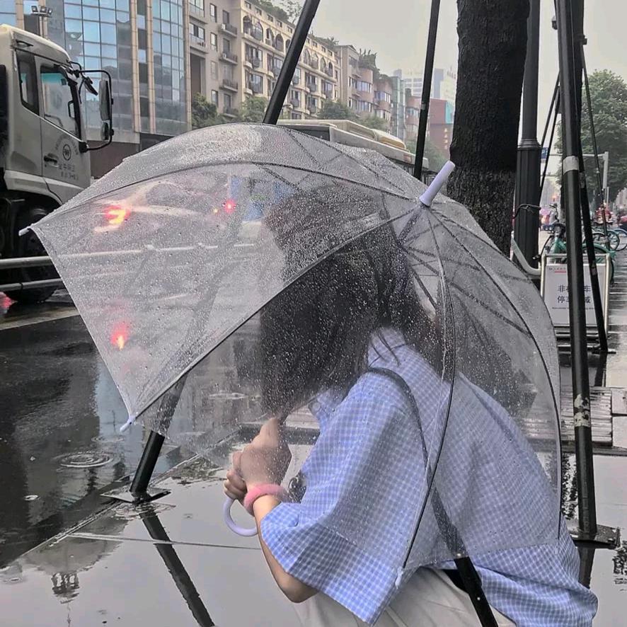 秋冬红艳