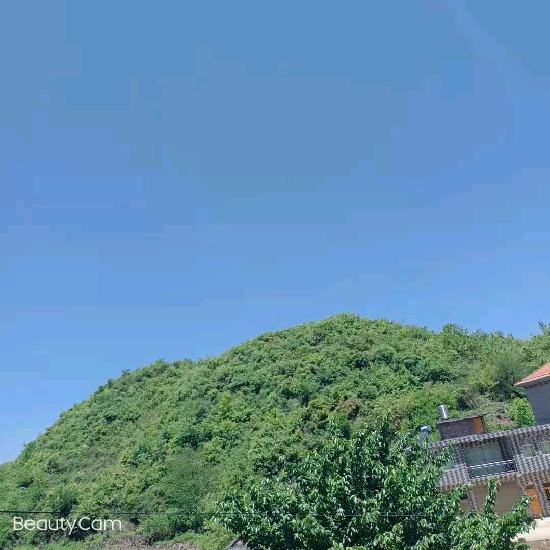 缘