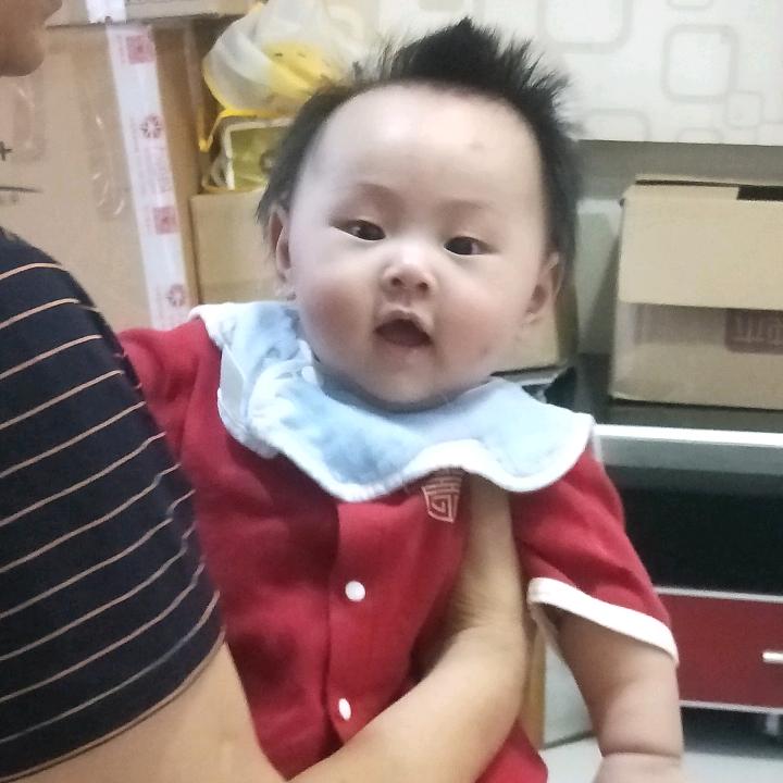 芝麻开花