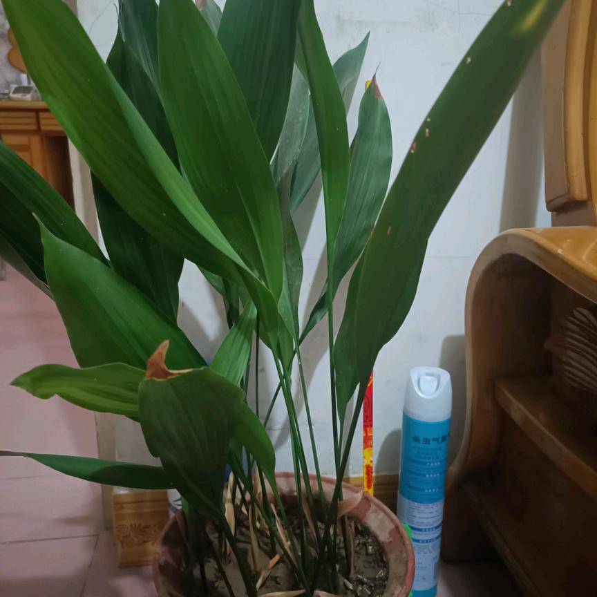 夏天来了