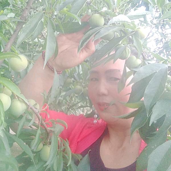 我小英