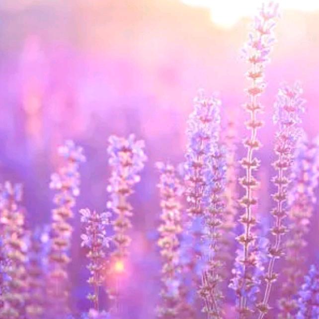 洛甄✨☀️