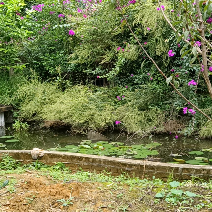 愿得一人心。。