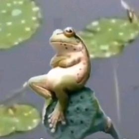 🌈我想吃个熊猫