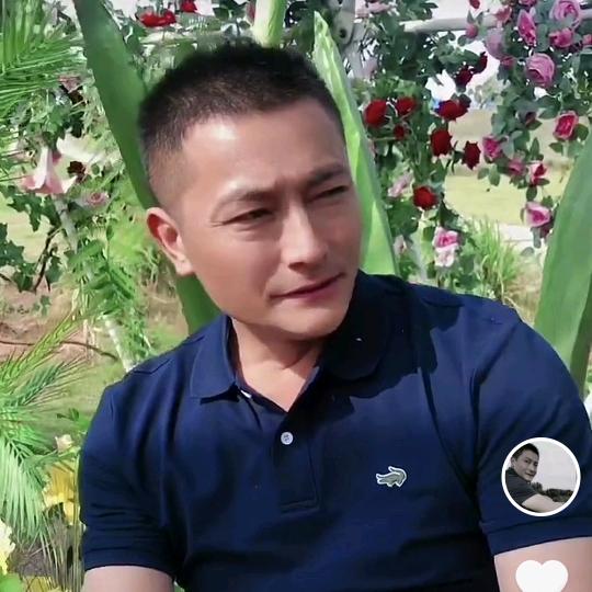 小宏