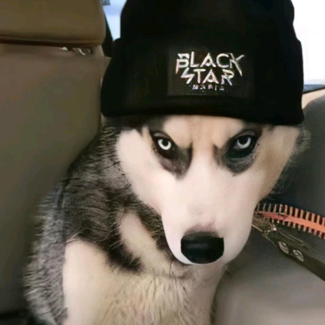 🤪🤓😀