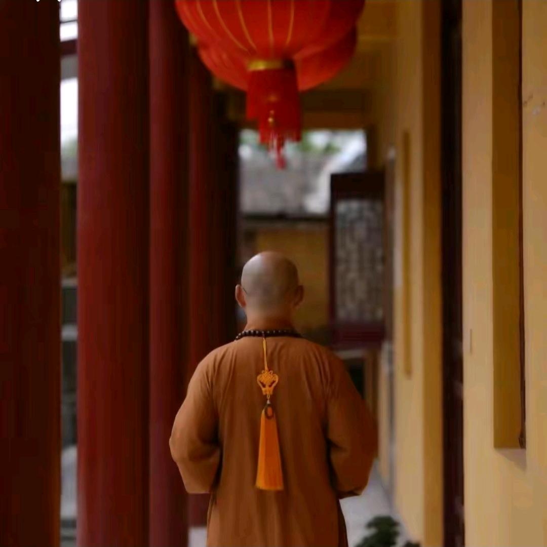 好运来。。。