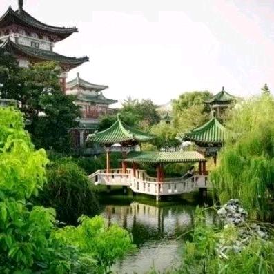 王队