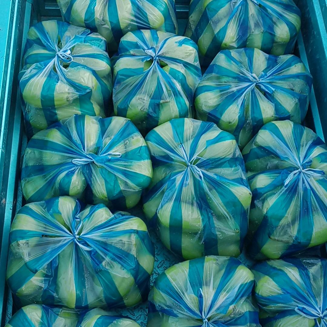 宿迁蔬菜批发