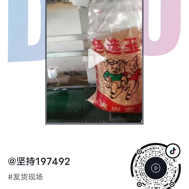 樊斌专供养殖户优质玉米