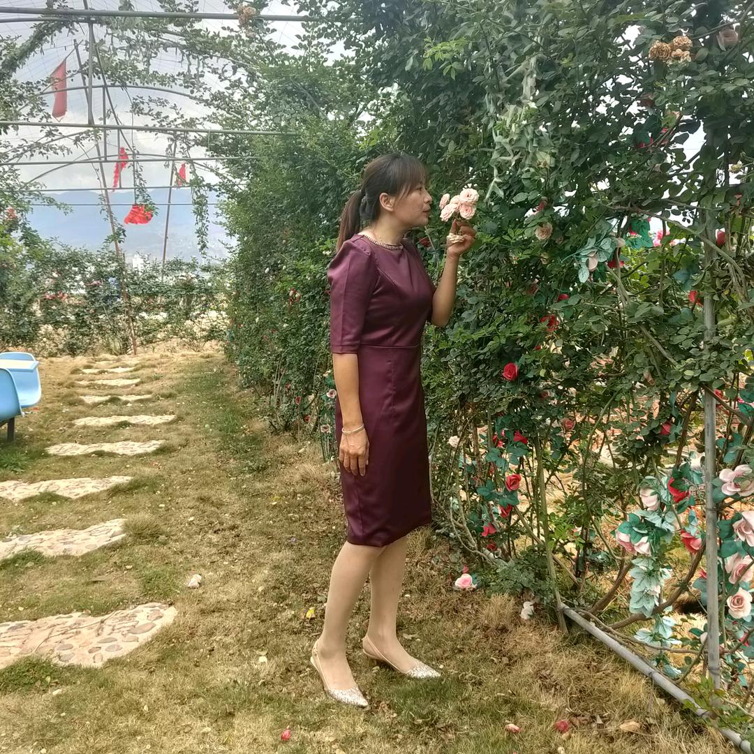 知足常乐——厨窗有好物分享