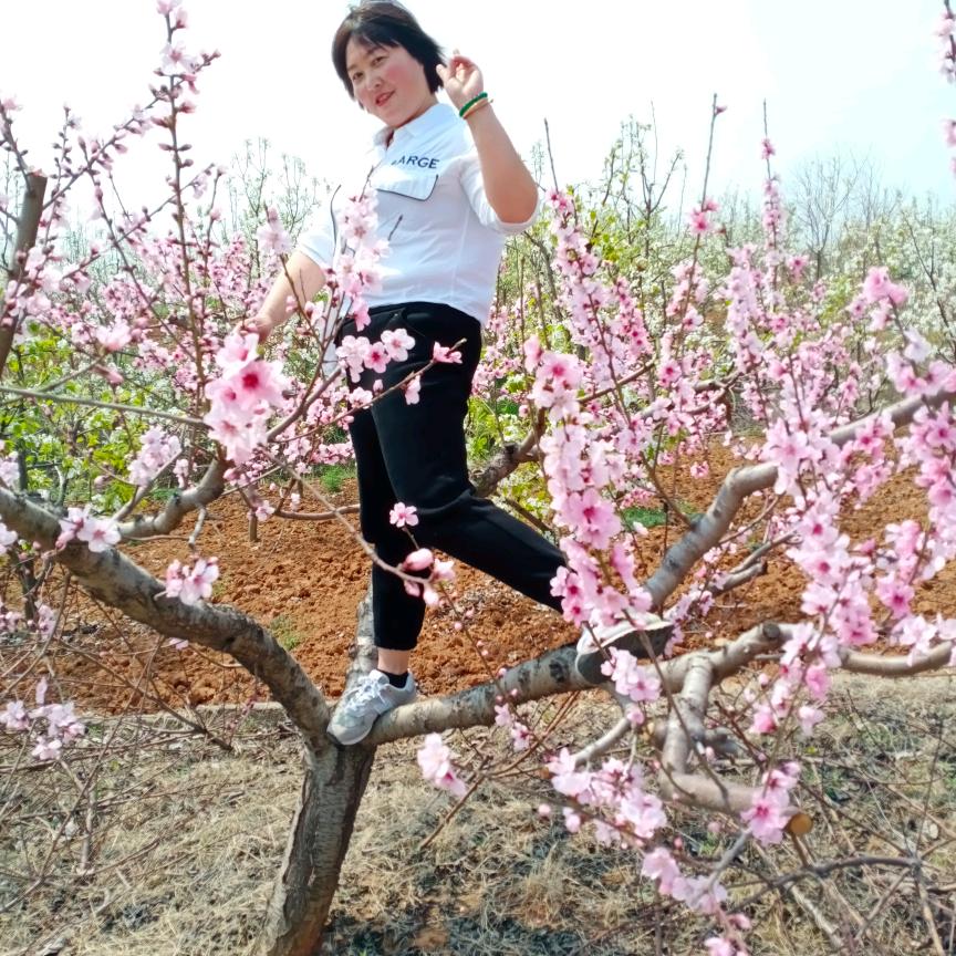 为了生活努力拼搏