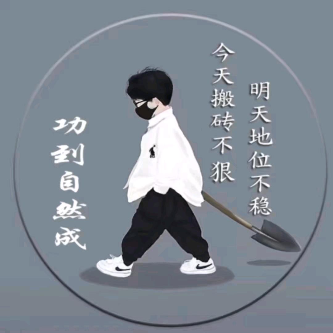 九米六小乔乔，皖M4A800承接全国快运