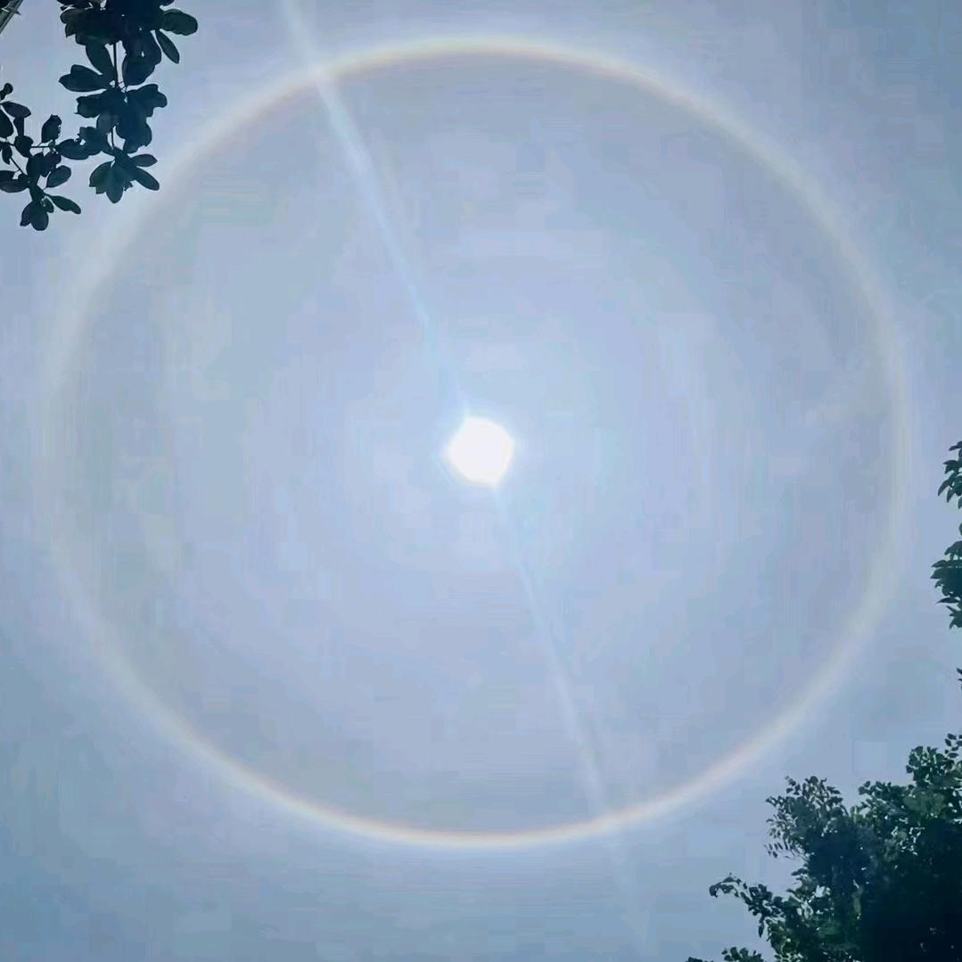耗子