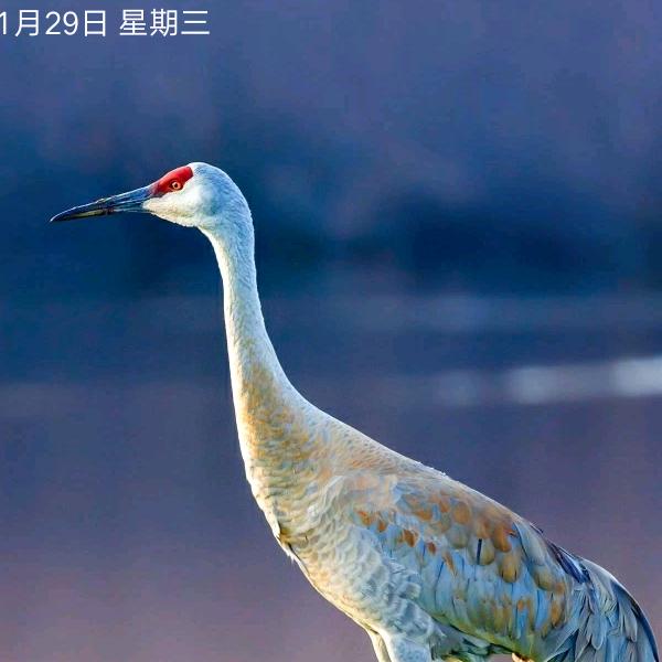 阿超