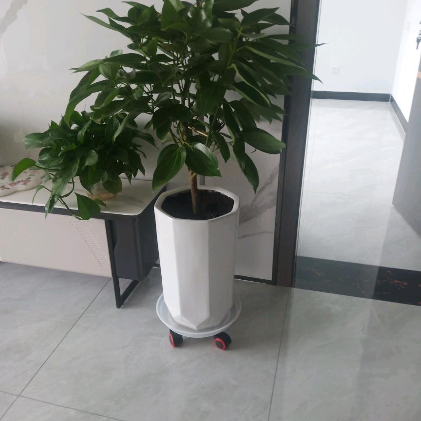 顺其自然,随遇而安