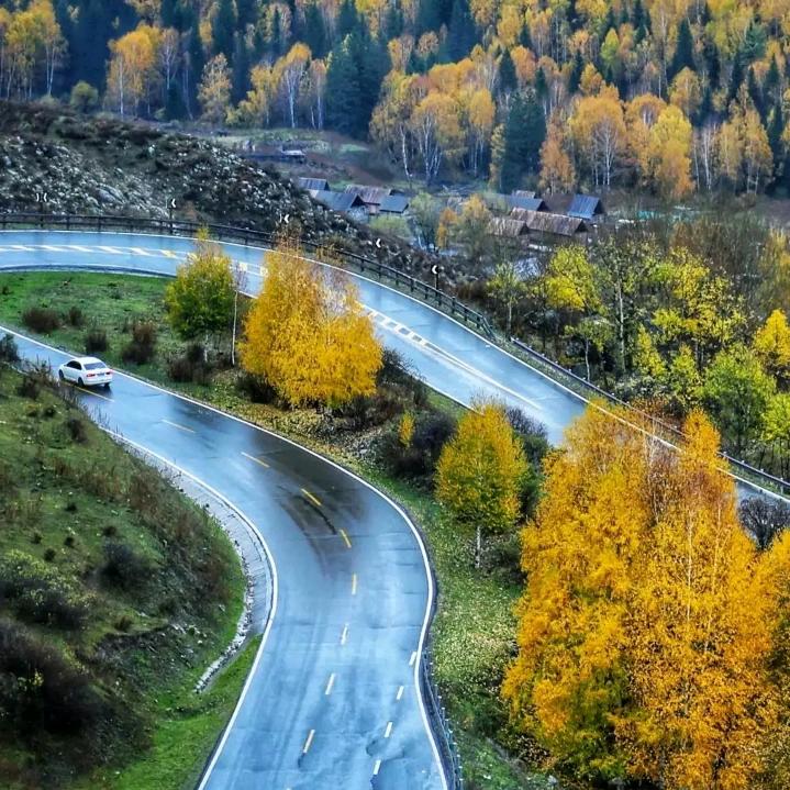 祝福大家新年快乐，兔年吉祥如意