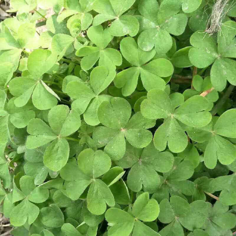 一生难忘的回忆