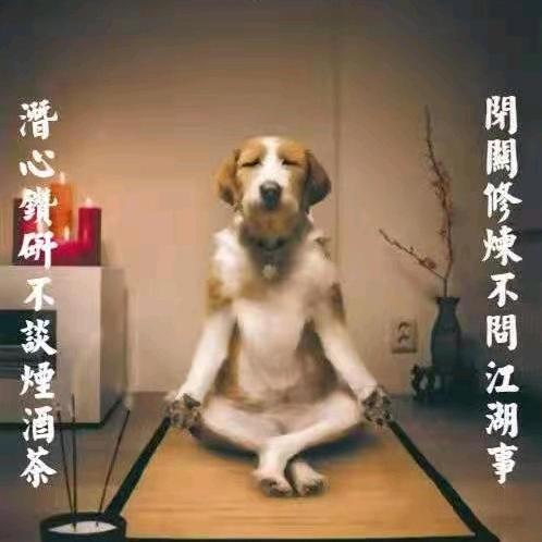 晟晟