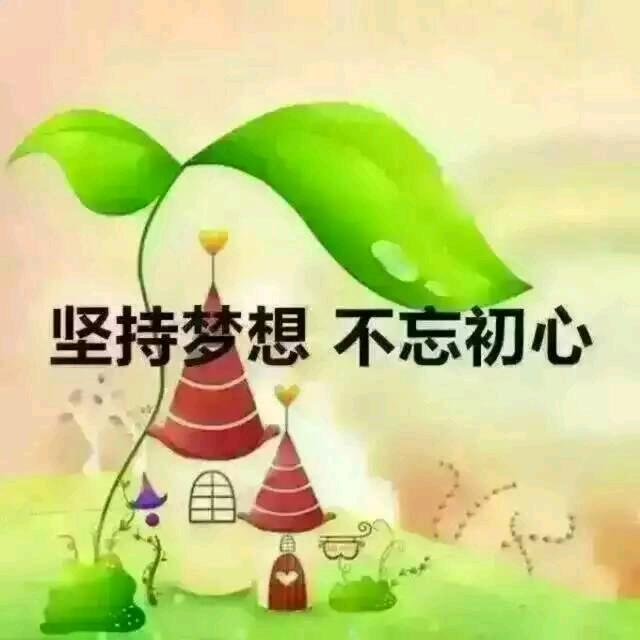 吴江区平望镇梅堰刘金勇货运服务部