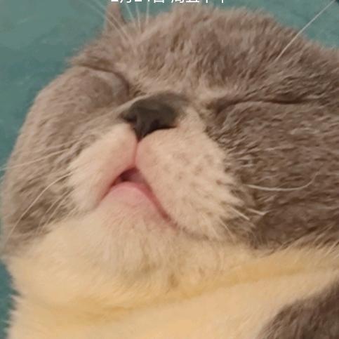 潇洒∮冷姐