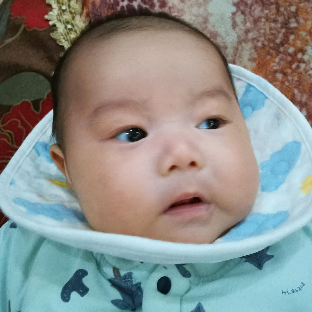黑皮老杨
