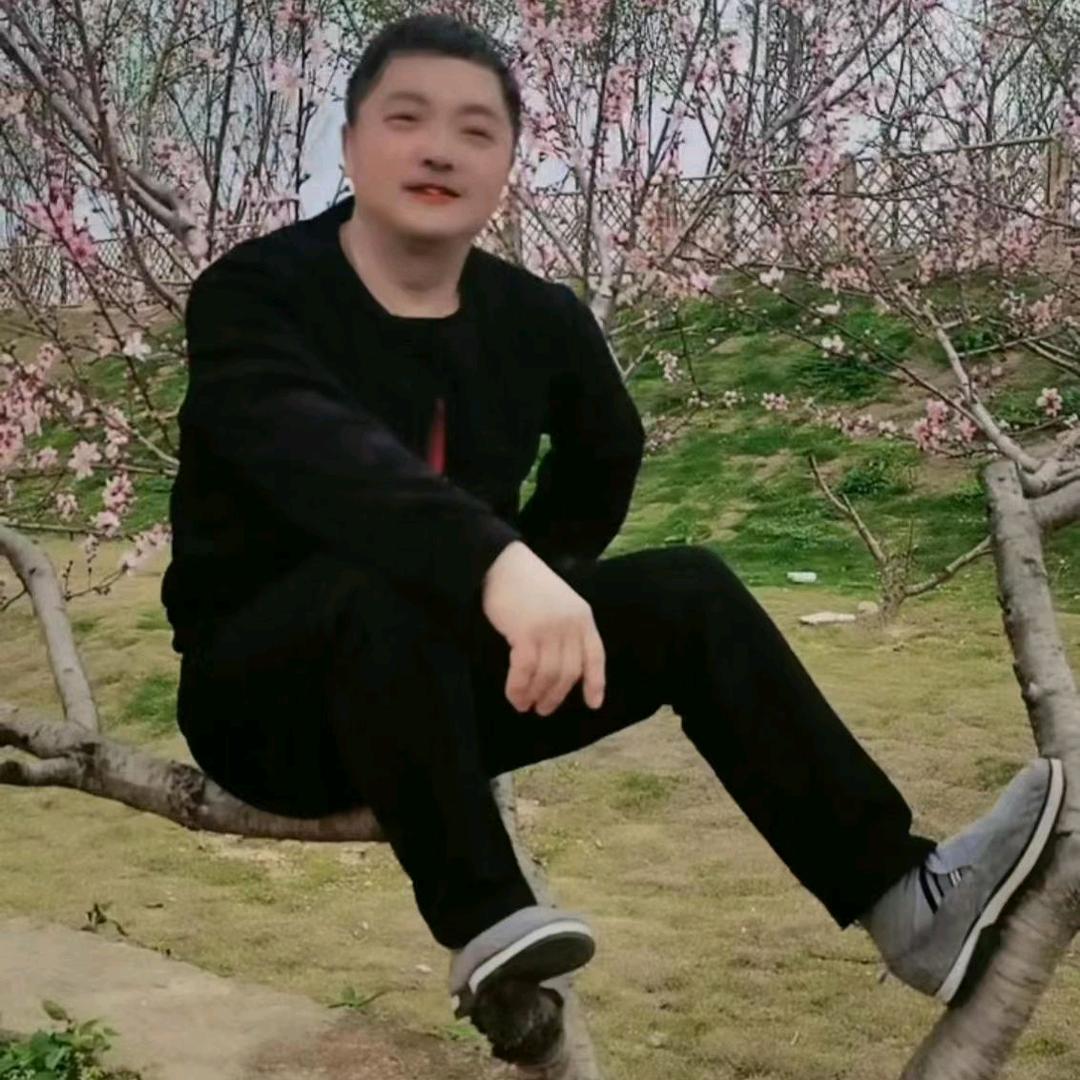 乡村歌手