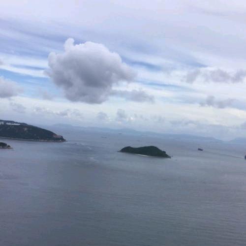 忆逸