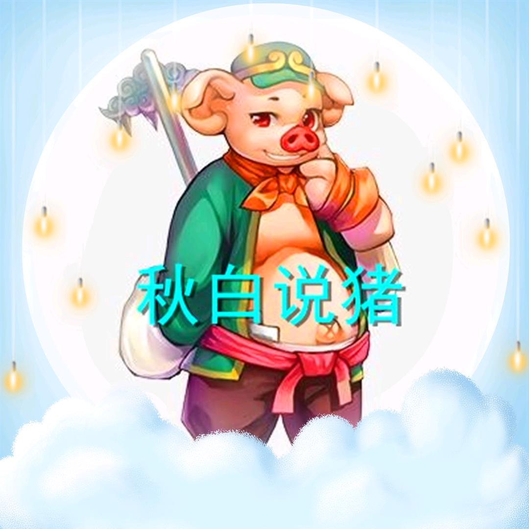 秋白说猪