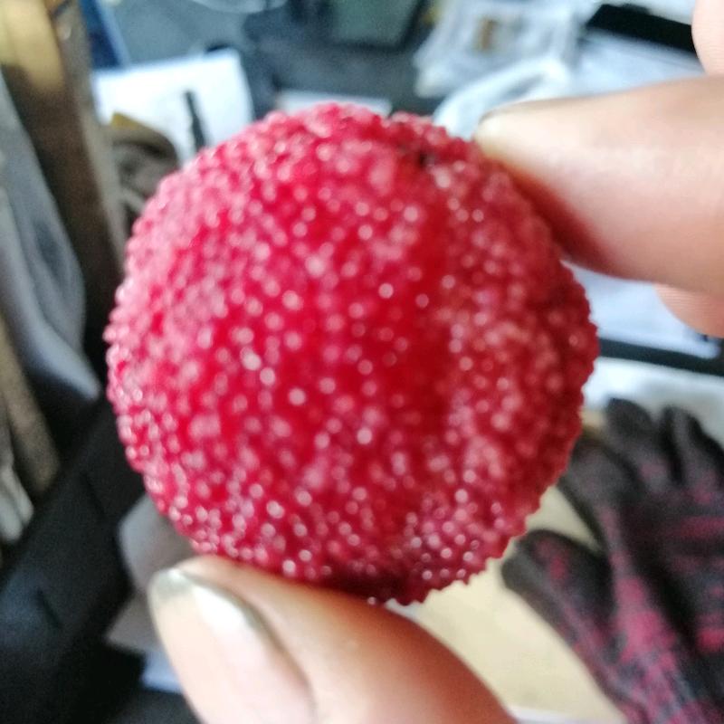 糊涂老贺