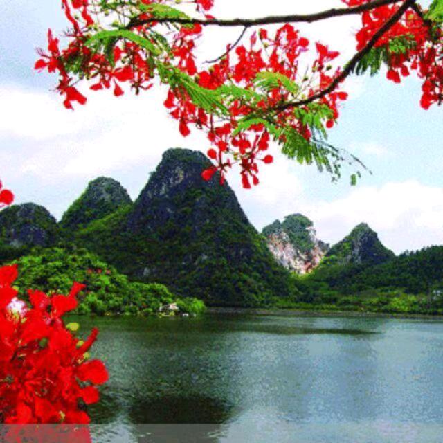 临沂商城炒鸡老店