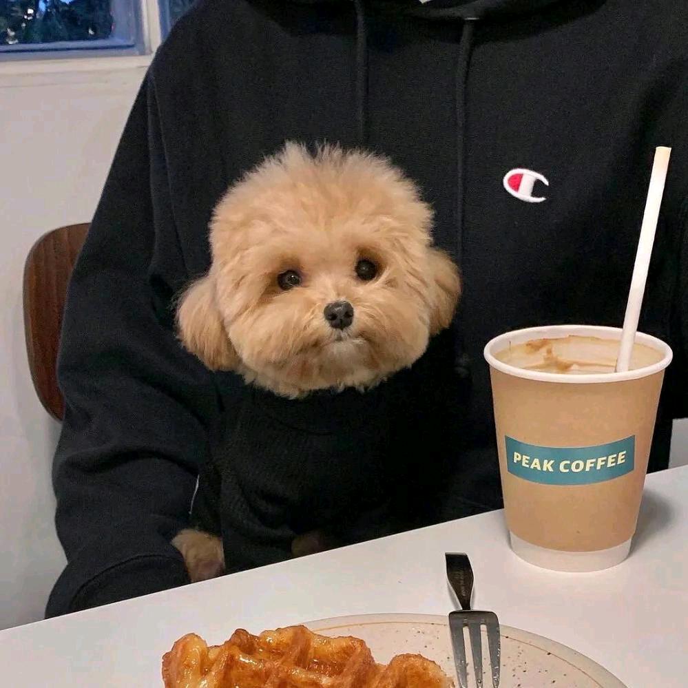 黑色胶卷