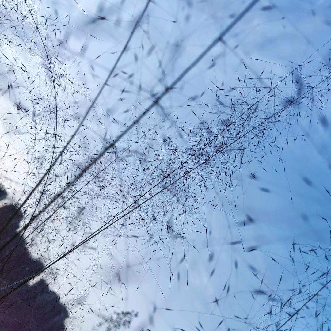桢桢头像