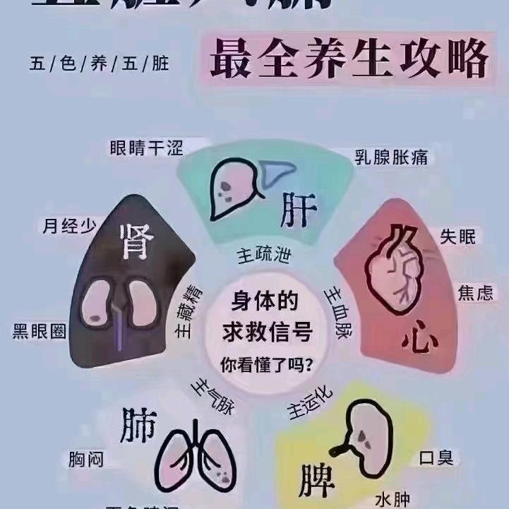 白衣天使