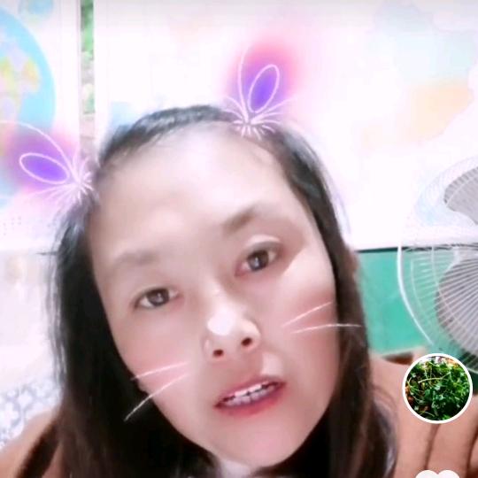 丁朴红