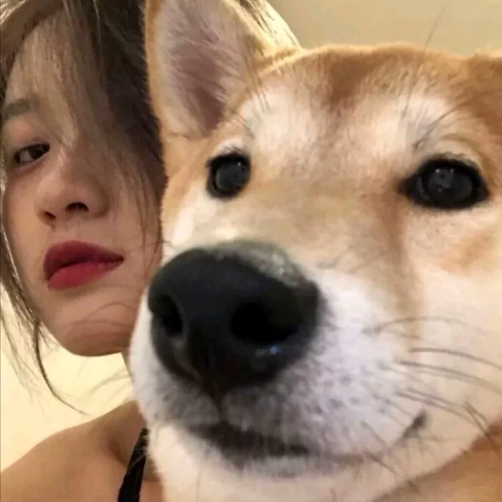 ♞hhhhhh