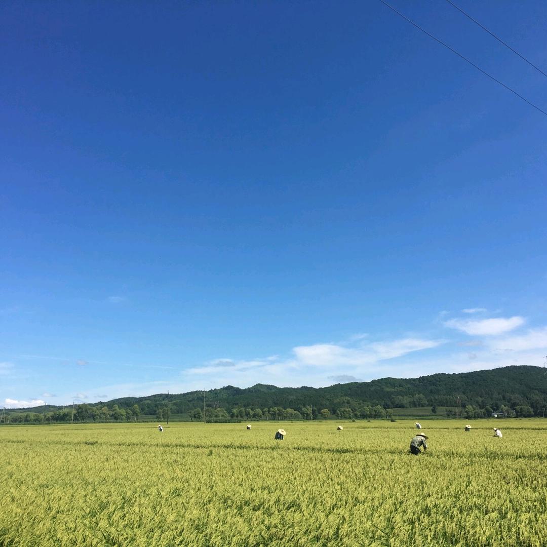 卡倍拉农资小赵