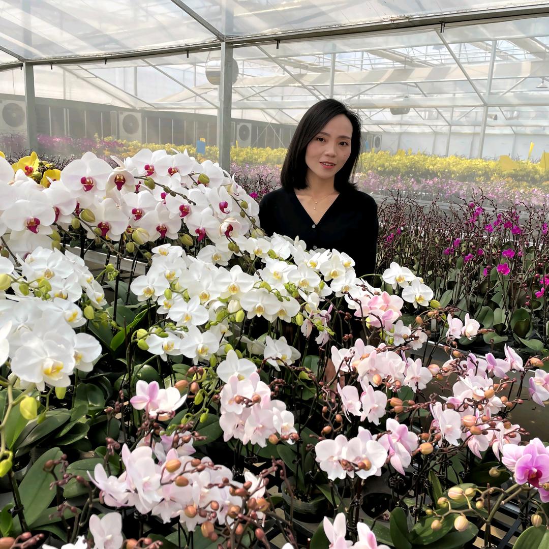 露序花集