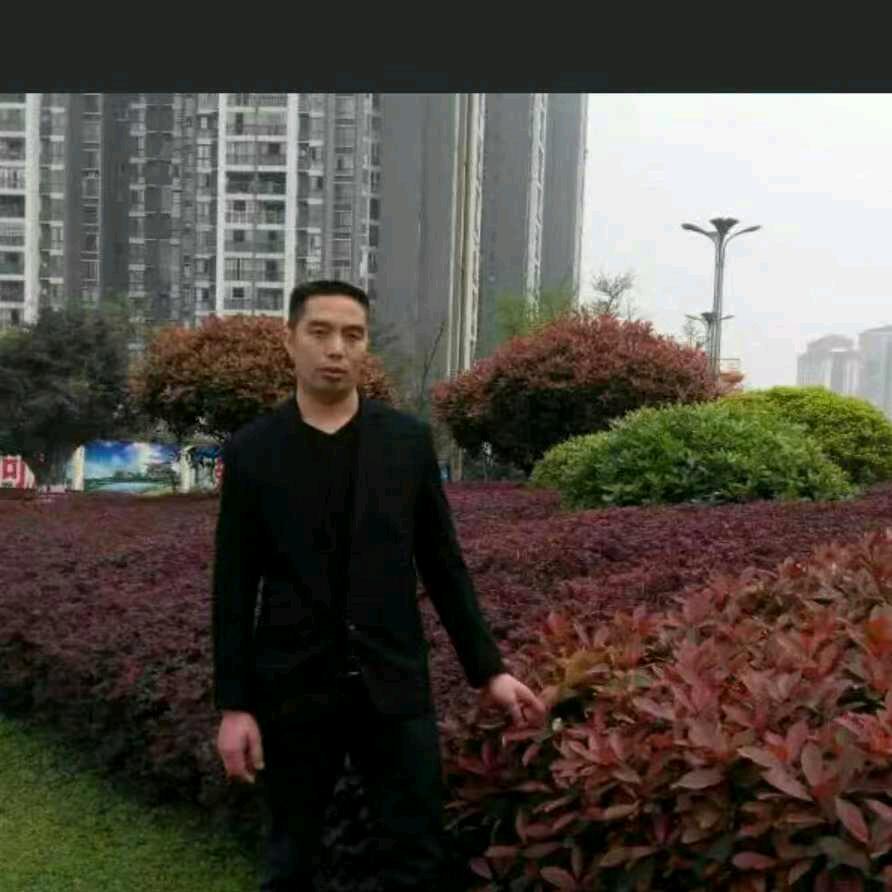 须必划算