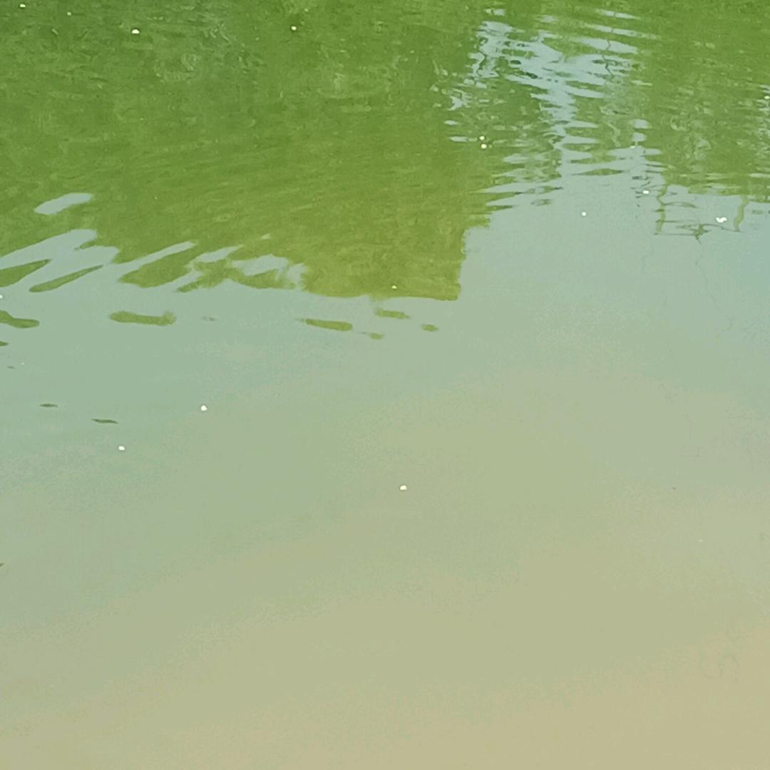 华南装饰城天猫电器