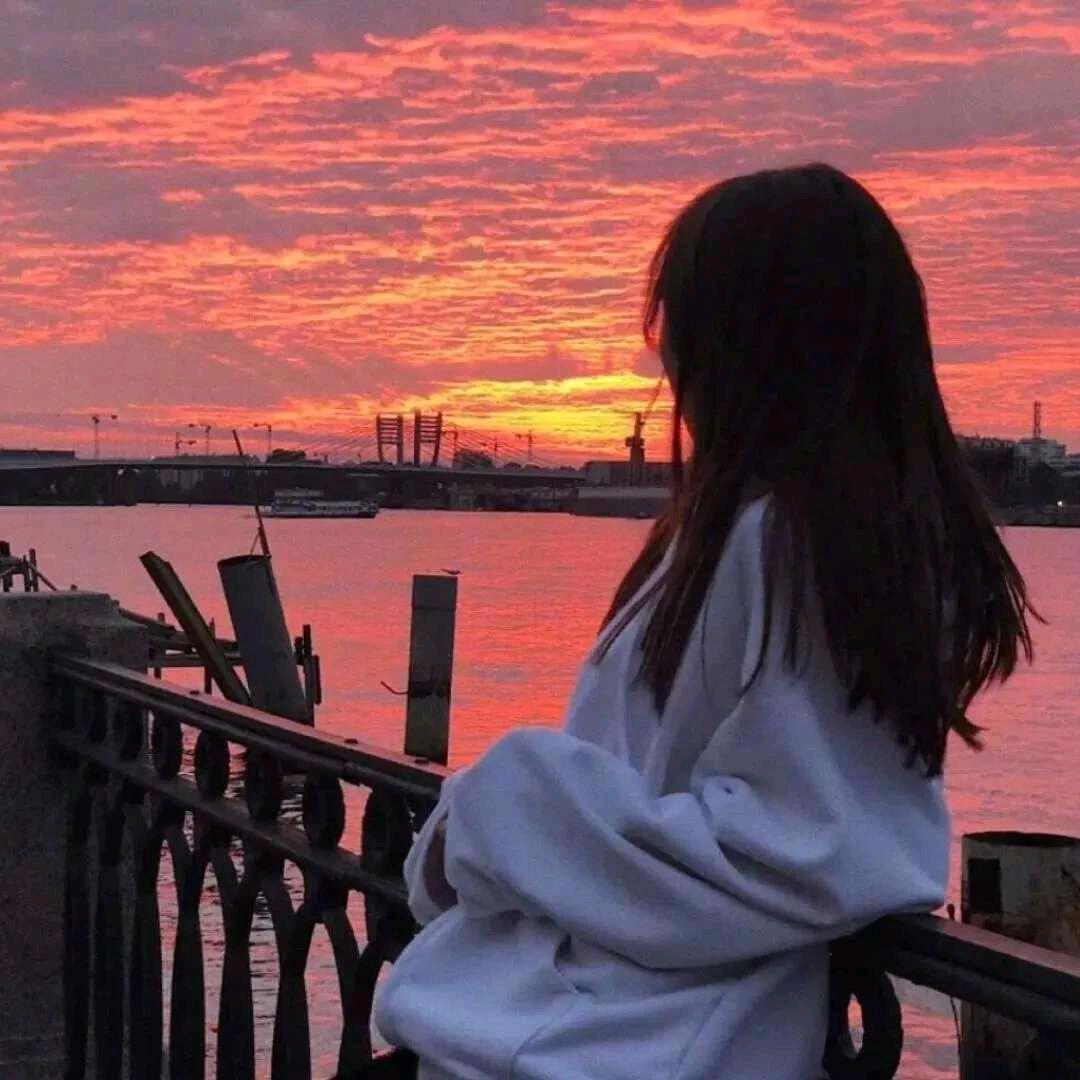 小高呆呆鸟