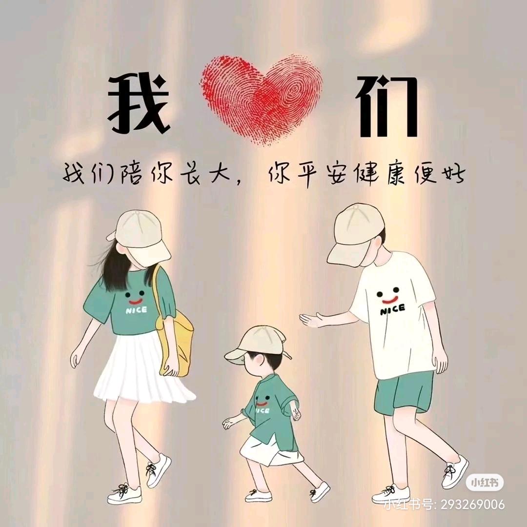 赵鹏地毯，草坪，地板革